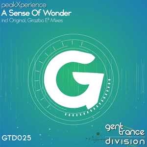 A Sense Of Wonder (Grazba E Remix)