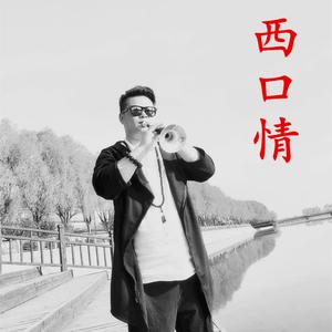 西口情 达宇唢呐演奏版