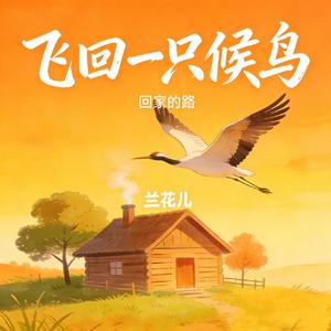 飞回一只候鸟