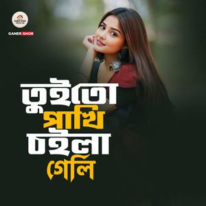 তুই তো পাখি চইলা গেলি