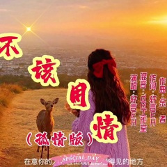 不该用情
