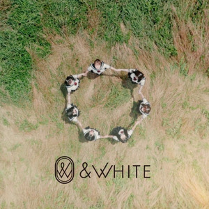 リフレクション