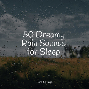 River, Forest, Bird Calls