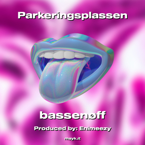 Parkeringsplassen