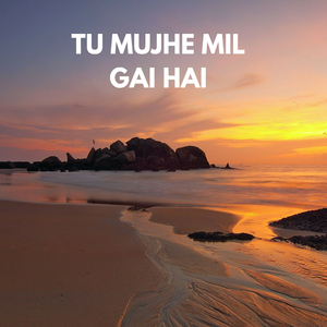 Tu Mujhe Mil Gai Hai