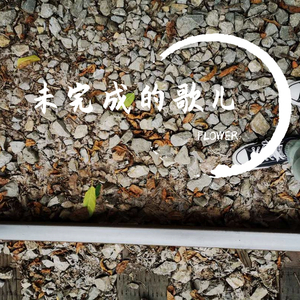 看黄昏坠入美好人间（demo）