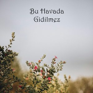 Bu Havada Gidilmez
