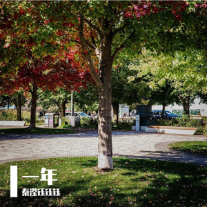 《三月杏花》女声-浪漫-流行