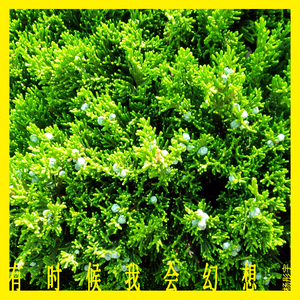 有时候我会幻想-0510