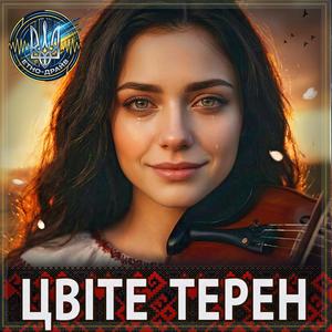 Цвіте терен