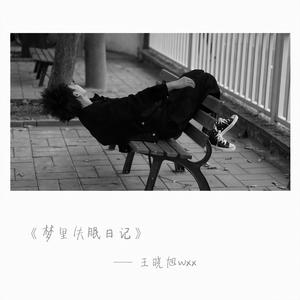 梦里失眠日记 伴奏
