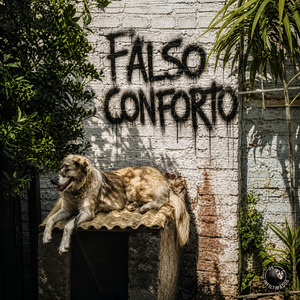 Falso Conforto
