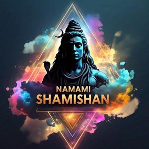 Namami Shamishan