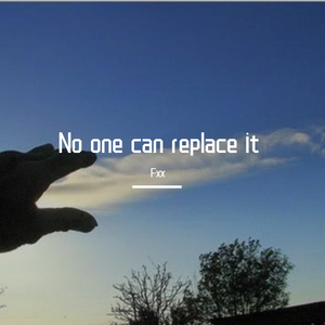 No one can replace it