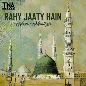 Rahy Jaaty Hain