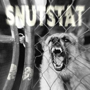 Snutstat