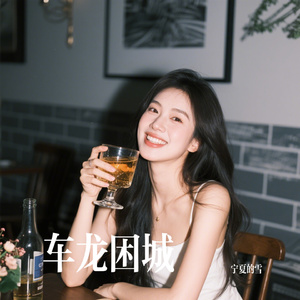 车龙困城