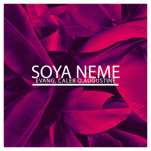 Onye Iro Ezi Nulo Medley