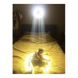 Chosen Ones Daily Devotional (London Bridge Studio Sessions Nov.11&12 2023)