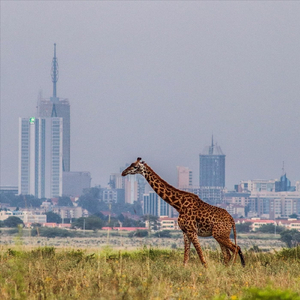 Sikiliza Mama We (Swahili Kids Songs)