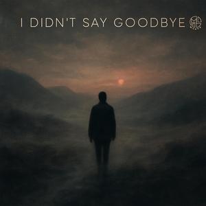 I didn't say goodbye
