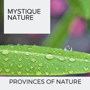 Real Time and Real Fire