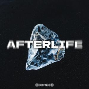 Afterlife