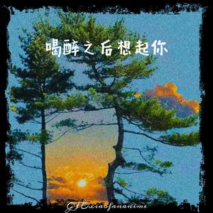 喝醉之后想起你