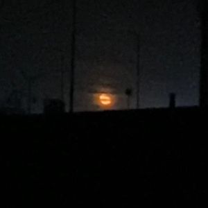 千里渠不要伤心