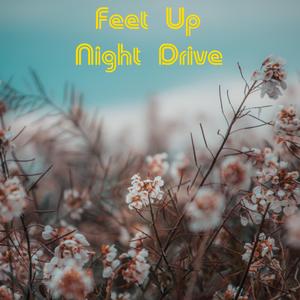 Feet Up Night Drive
