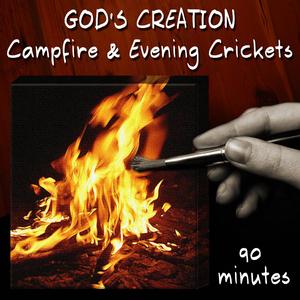 Campfire and Evening Crickets (90 Minutes)
