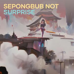 Sepongbub Not Surprise