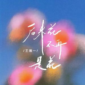 后来花不再是花