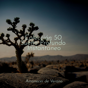 El último aliento del crepúsculo