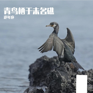 心如花木向阳生