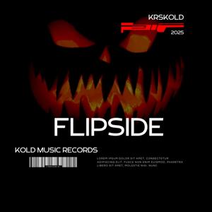 Flipside