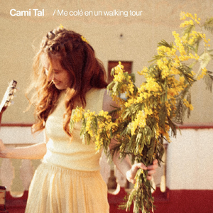 Me gustás aunque roncás