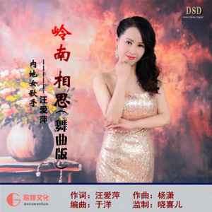 岭南.相思（舞曲版）