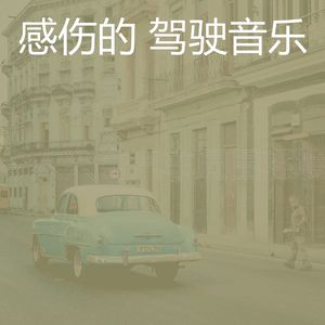 温和驾驶梦想
