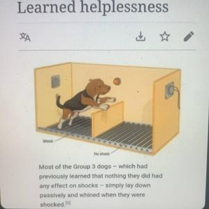 dual wield (feat. jitrunner)