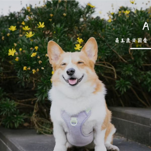 あの日見た光はまだ消えていない