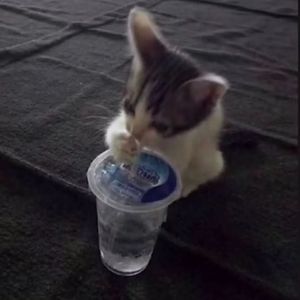 "忧郁" sasi x bobby x sadpiano x 痛苦旋律伴奏