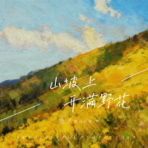 山坡上开满野花