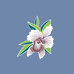 Ohana