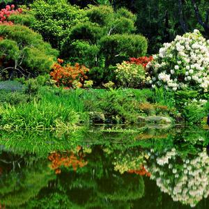 还是会睡很晚 少的是你的晚安