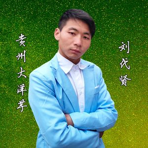 贵州大洋芋《经典-刘代贤》