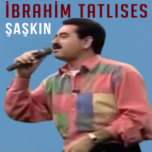 Şaşkın