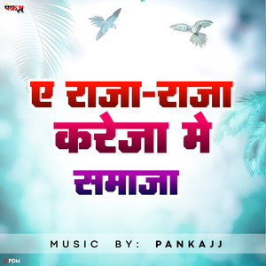 Ye Raja Raja Kareja Me Samaja
