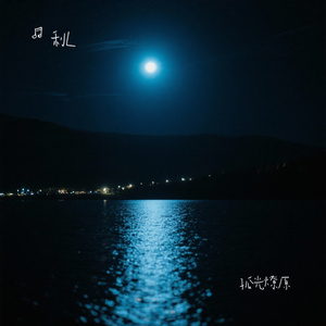 孤光燎原