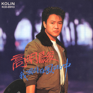 我独自在风雨中